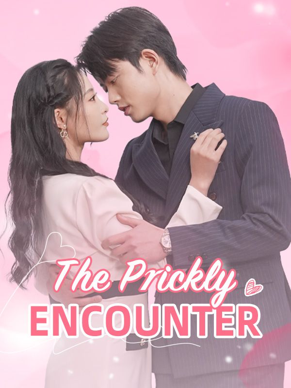 Watch The Prickly Encounter (DramaBox) Full Episodes Free HD