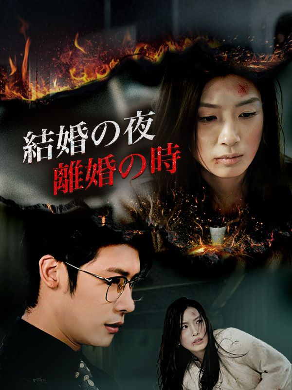 Watch 結婚の夜、離婚の時（日本語吹替版） (DramaBox) Full Episodes Free HD