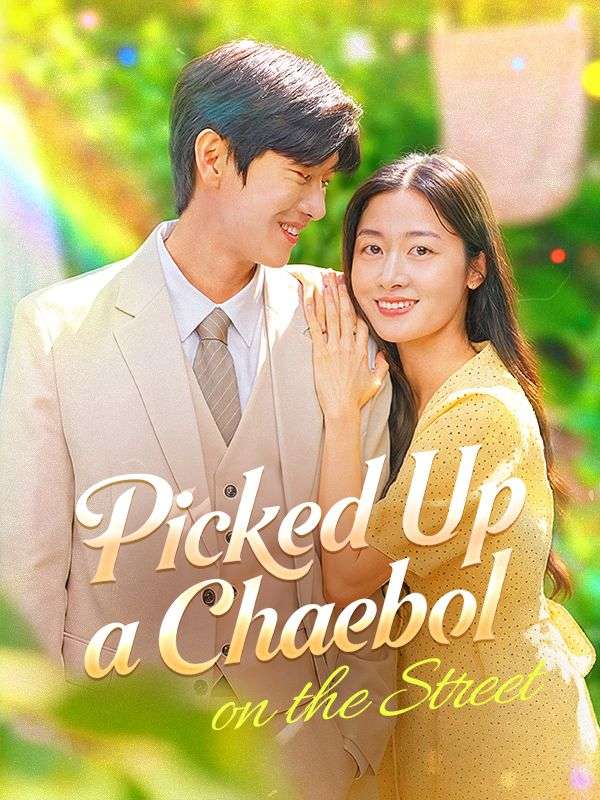 Watch Picked Up a Chaebol on the Street (DramaBox) Full Episodes Free HD