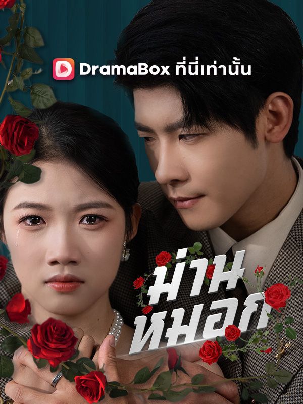 Watch ม่านหมอก(พากย์ไทย) (DramaBox) Full Episodes
