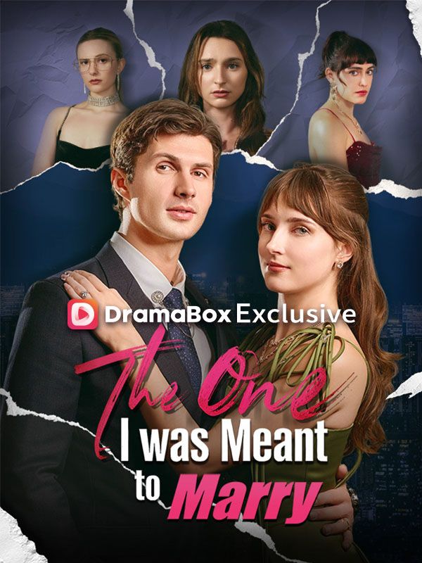 Watch The One I was Meant to Marry (DramaBox) Full Episodes Free HD