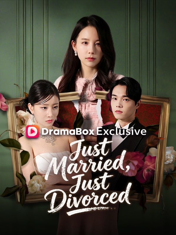 Watch Just Married, Just Divorced (DramaBox) Full Episodes Free HD