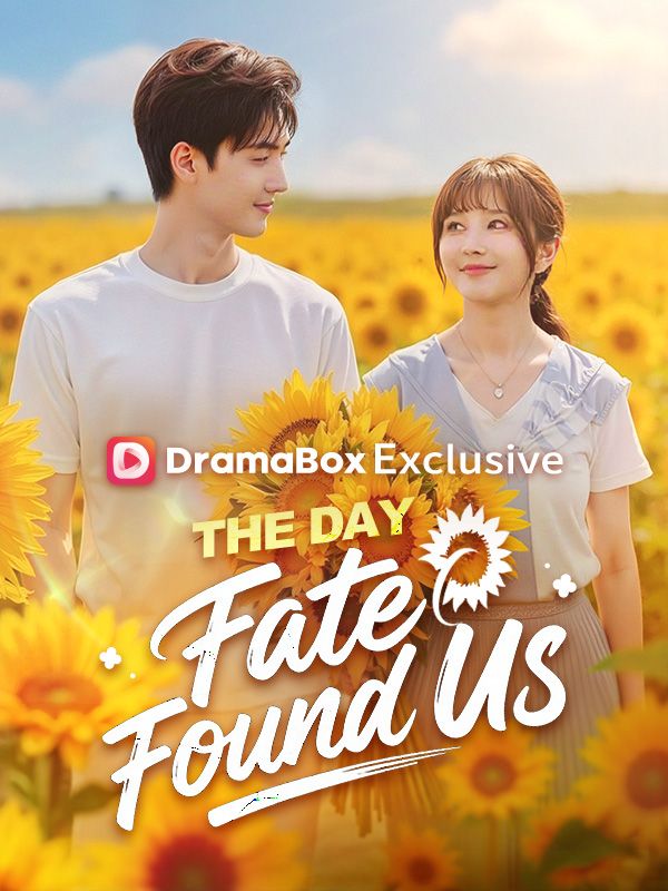 Watch The Day Fate Found Us(DUBBED) (DramaBox) Full Episodes Free HD