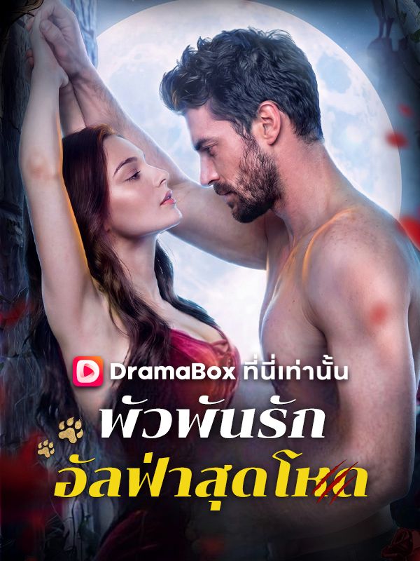 Watch พัวพันรักอัลฟ่าสุดโหด(พากย์ไทย) (DramaBox) Full Episodes