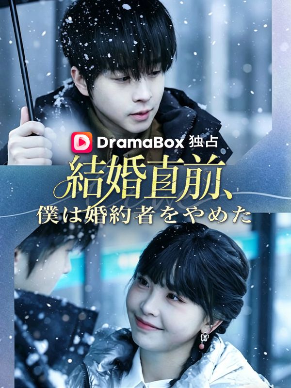 Watch 結婚直前、僕は婚約者をやめた（吹き替え） (DramaBox) Full Episodes Free HD