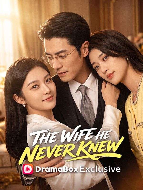 Watch The Wife He Never Knew (DramaBox) Full Episodes Free HD