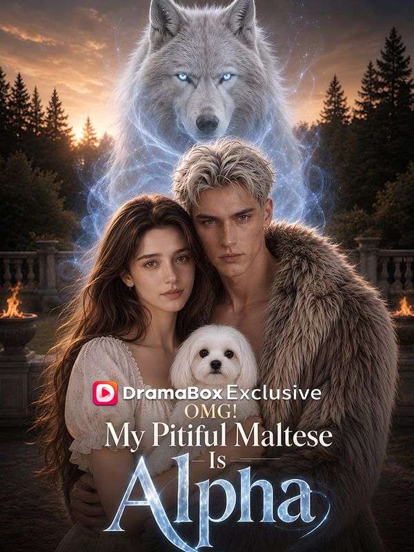 Watch OMG! My Pitiful Maltese Is Alpha (DramaBox) Full Episodes Free HD