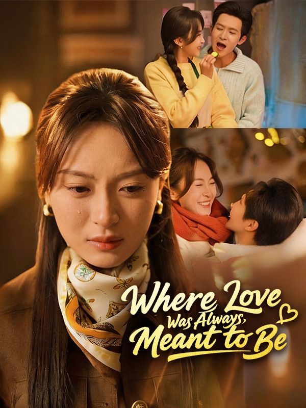 Watch Where Love Was Always Meant to Be（DUBBED） (DramaBox) Full Episodes Free HD